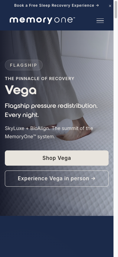 Final Vega mobile top viewport showing non-overlapping buttons